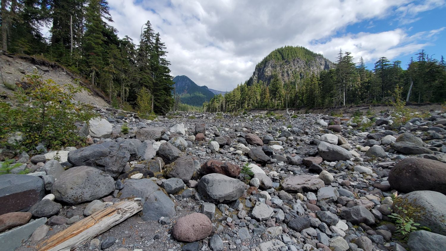 Mount Rainier NP 